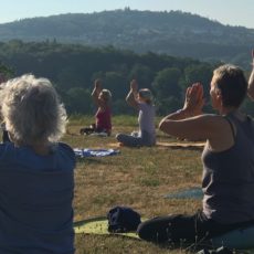 STAGE DE YOGA Juillet 2026 Ferme de Divali - Stage yoga Yves Plaquet